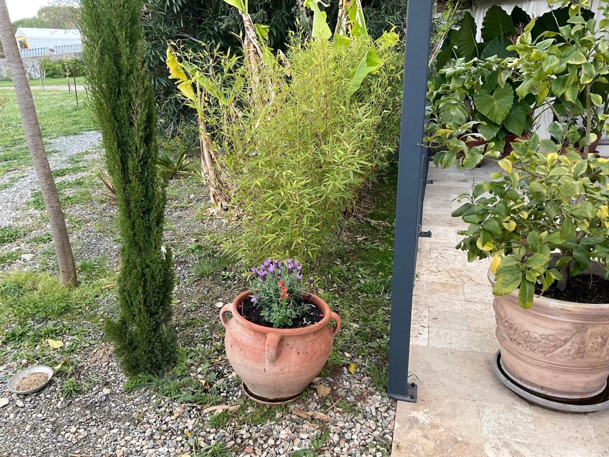 Domessargues La Bergerie 아파트 외부 사진