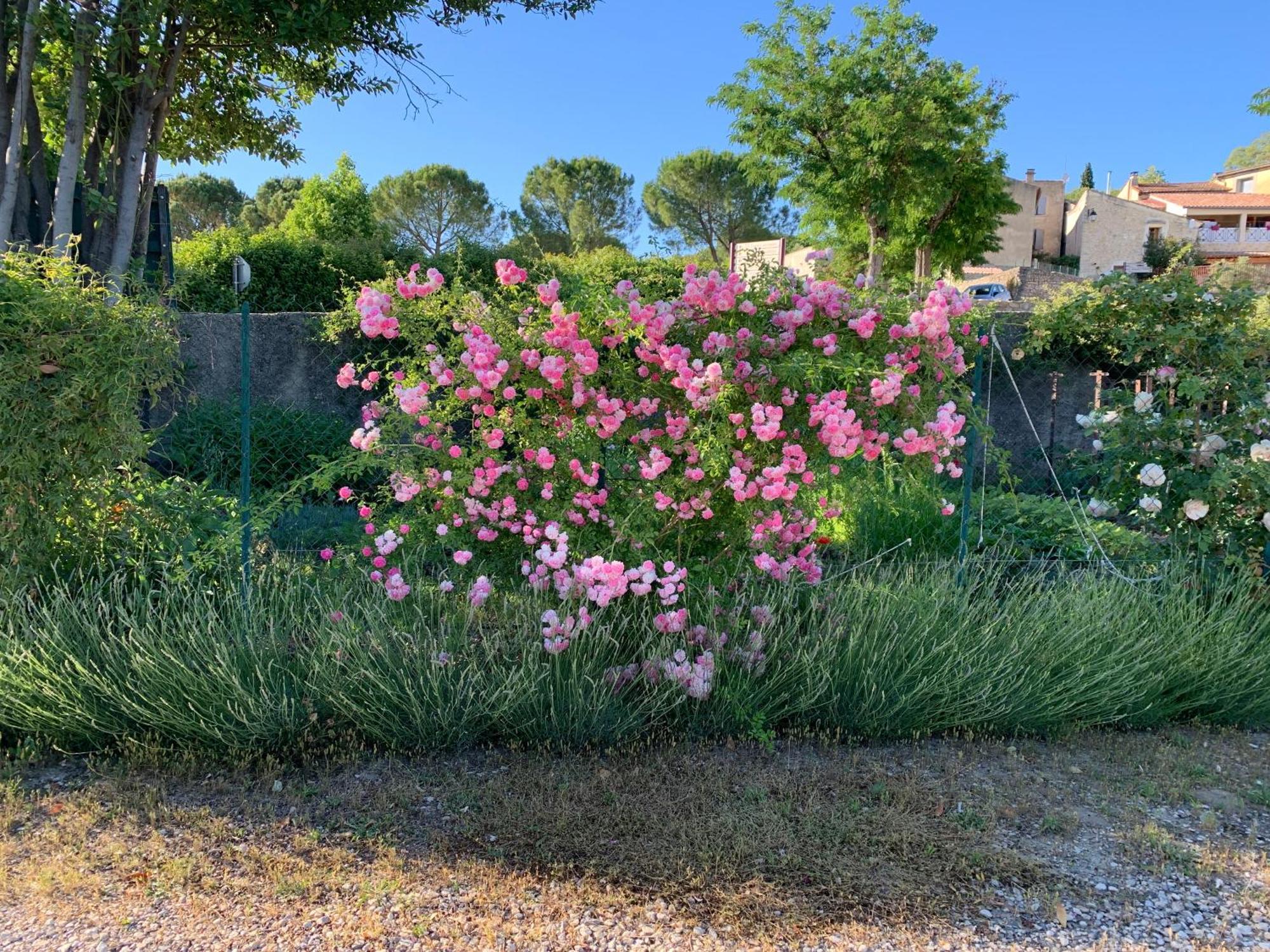 Domessargues La Bergerie 아파트 외부 사진