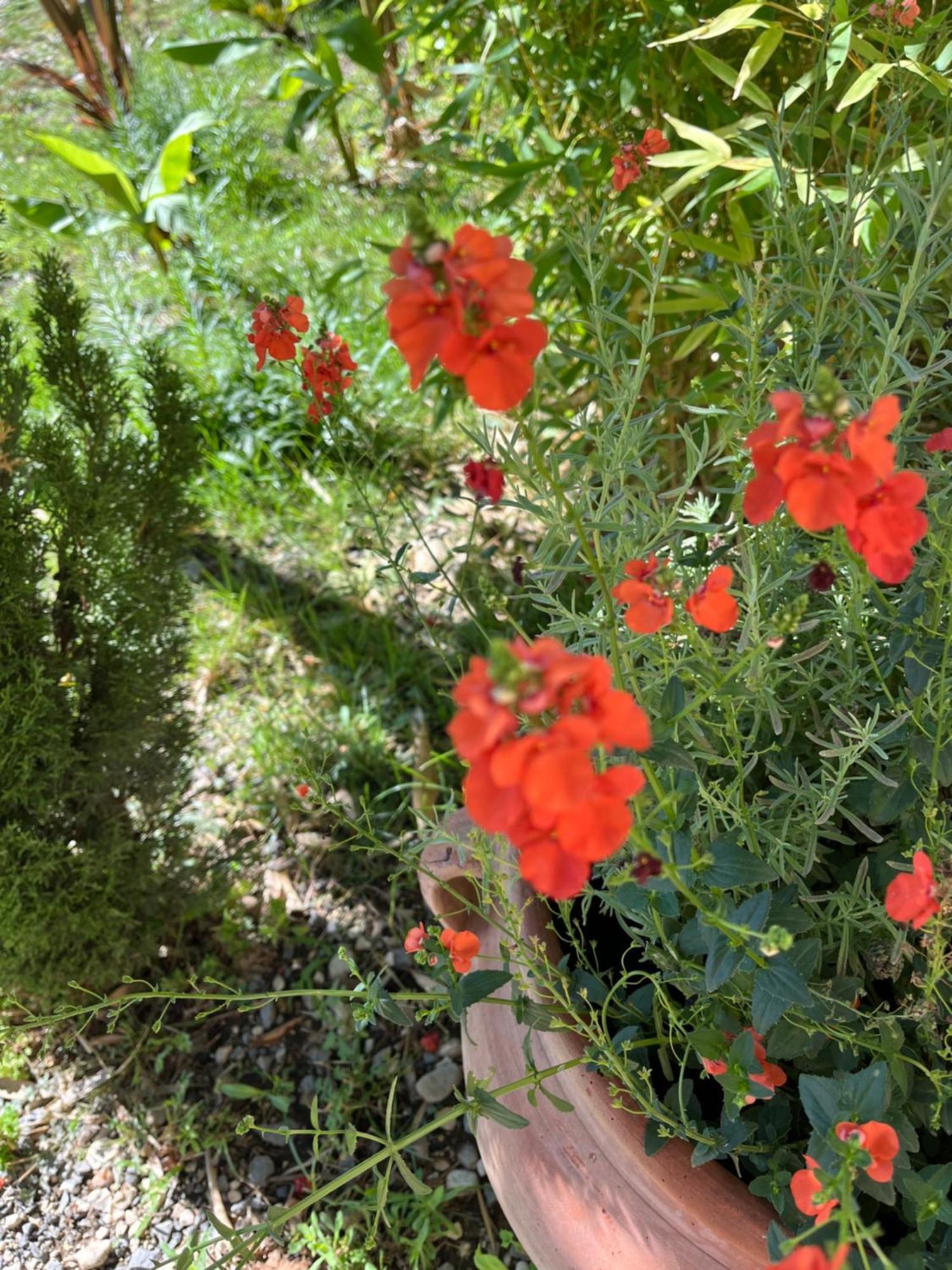 Domessargues La Bergerie 아파트 외부 사진
