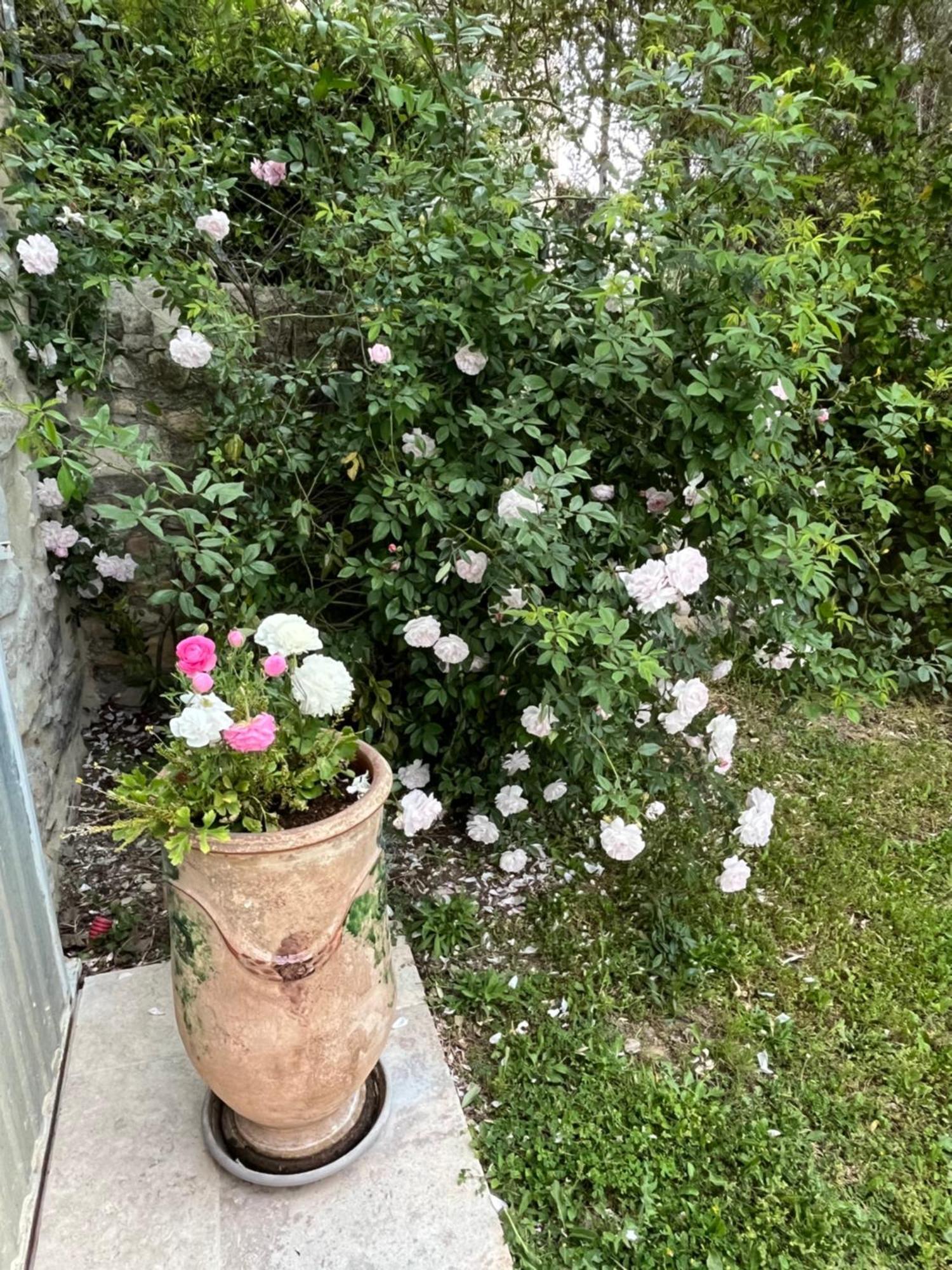 Domessargues La Bergerie 아파트 외부 사진