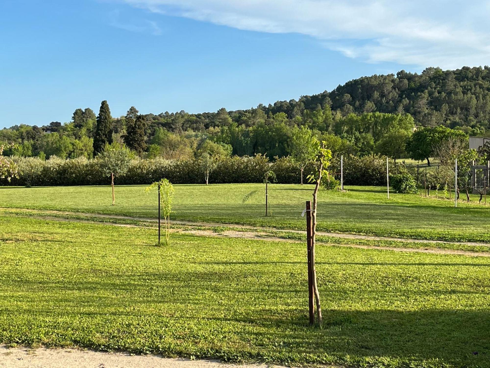 Domessargues La Bergerie 아파트 외부 사진