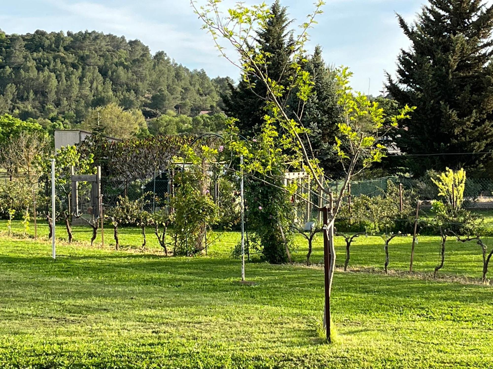 Domessargues La Bergerie 아파트 외부 사진